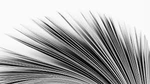 texture，furniture design ，chair，woodiness，