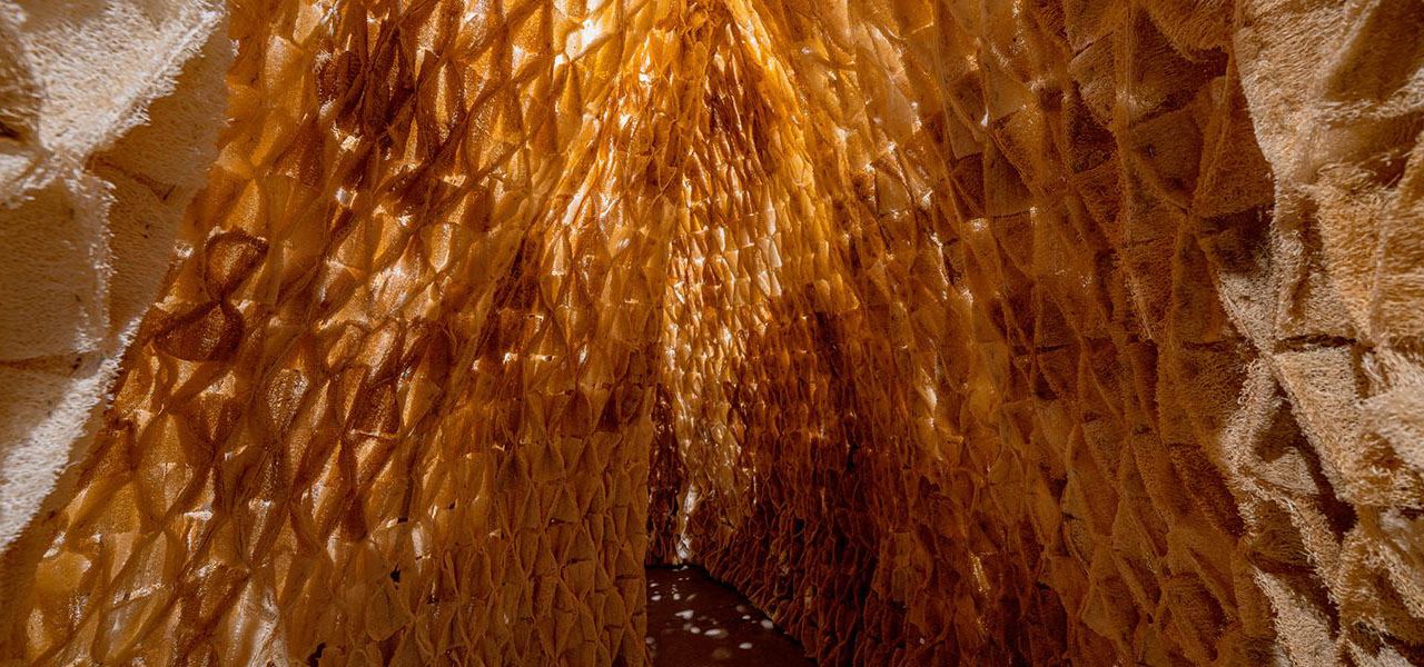 The Living，Architecture，ALIVE，Innovative architecture，