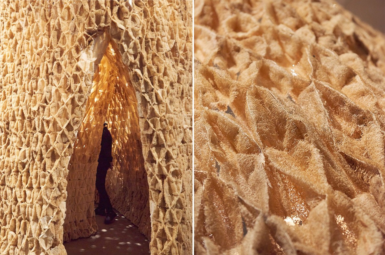 The Living，Architecture，ALIVE，Innovative architecture，