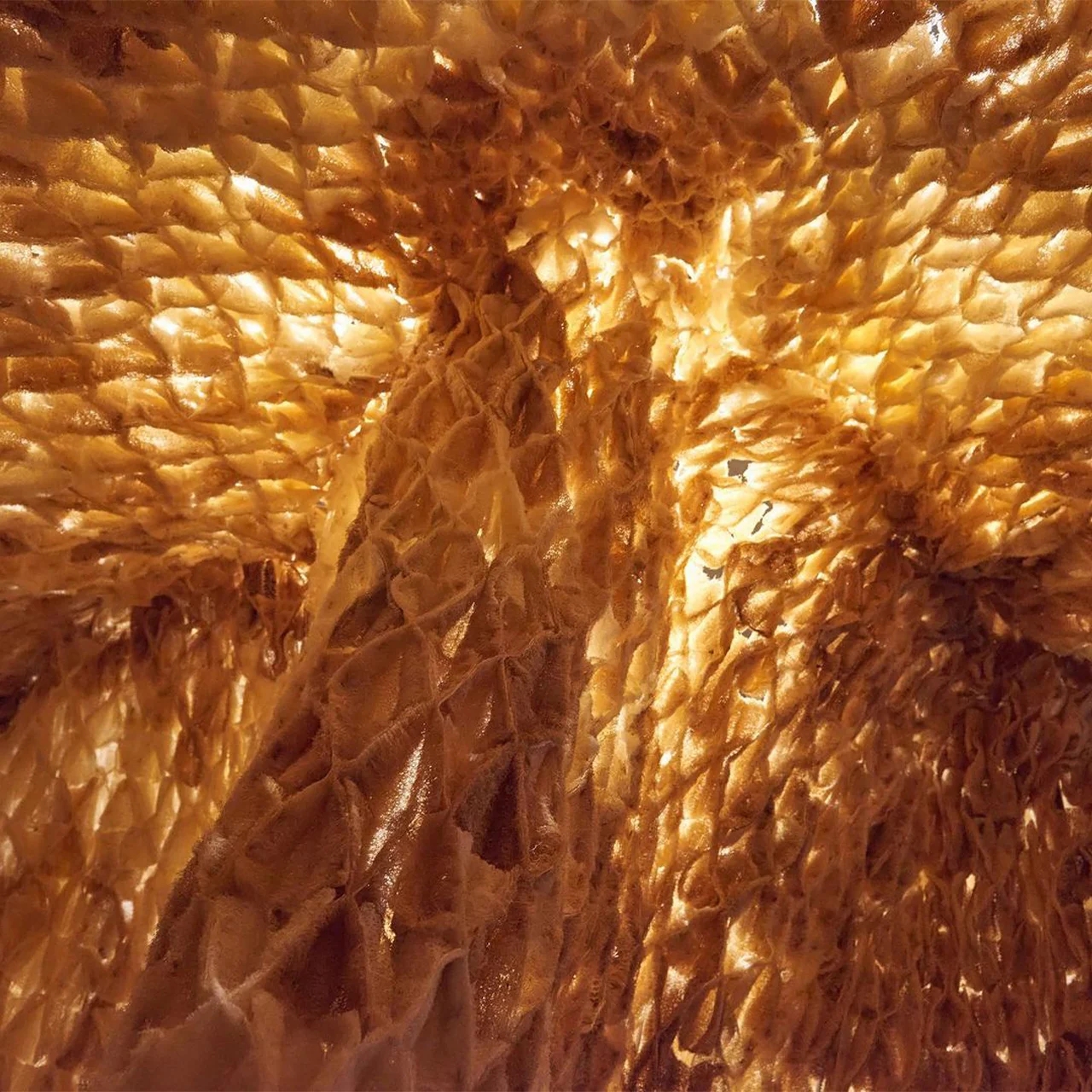 The Living，Architecture，ALIVE，Innovative architecture，