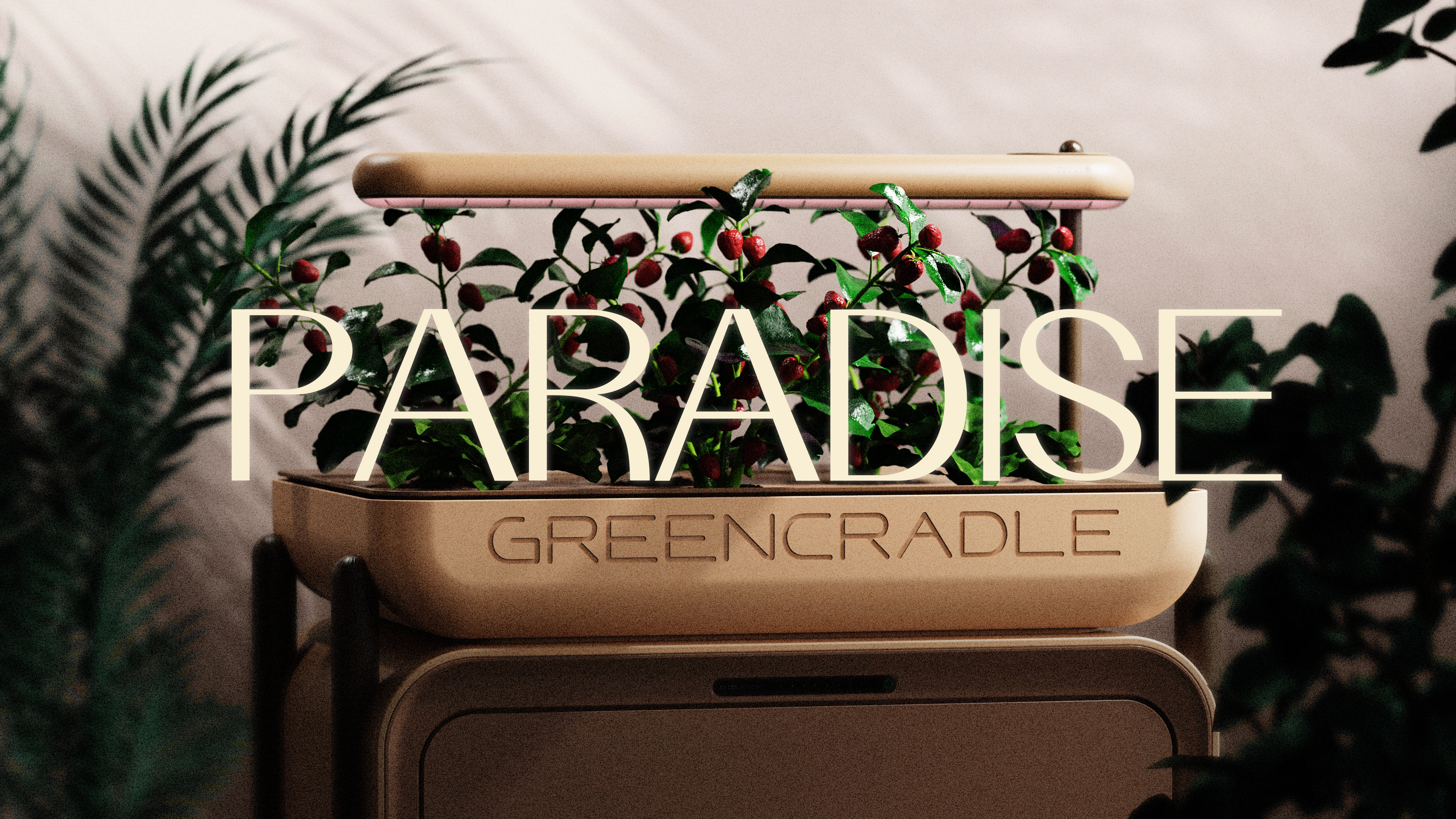 practice，concept，Sustainable design，Teach in fun，small home appliances，Fertilizer making machine，Garbage disposal，Family farmhouse，