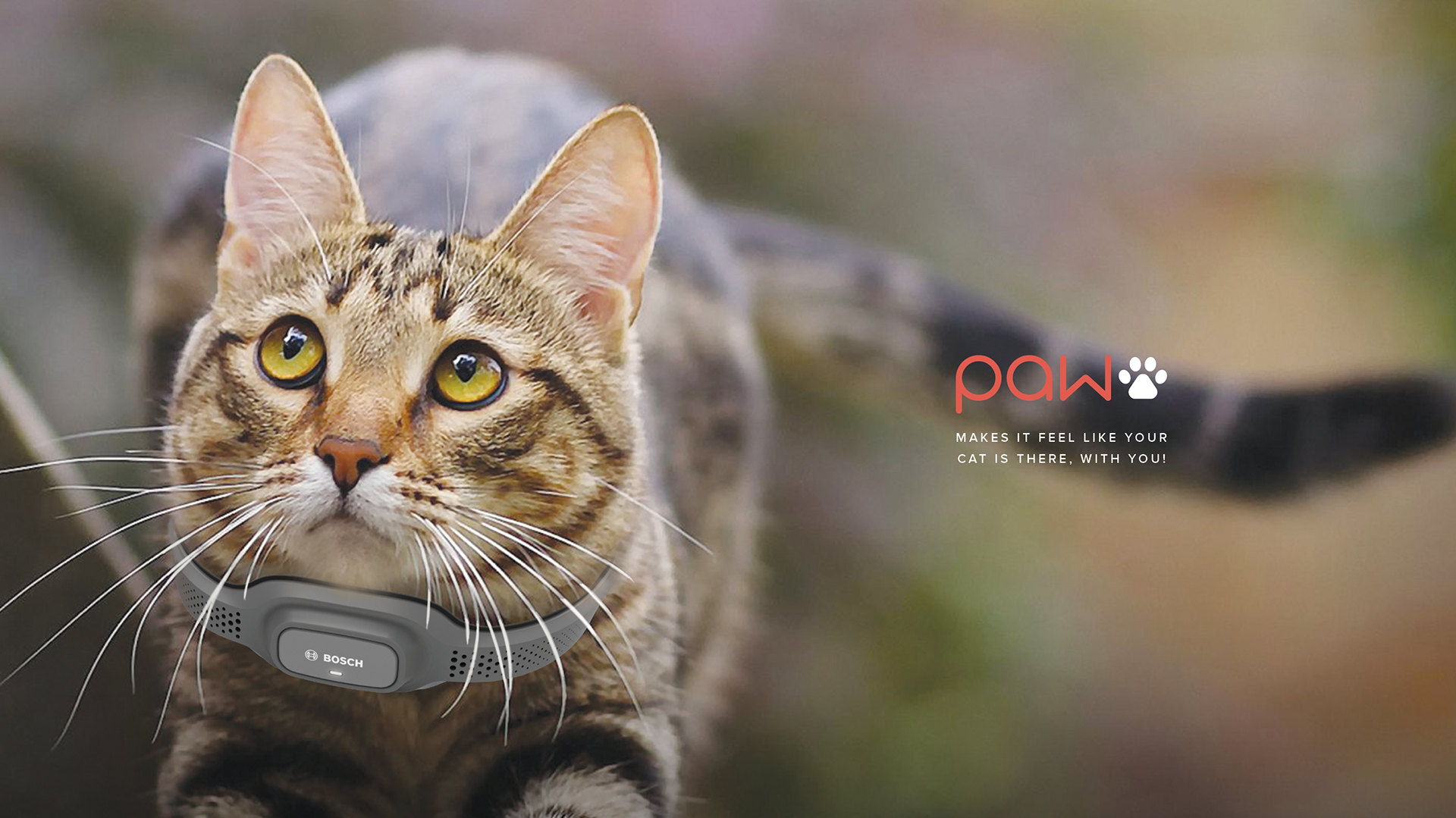 Pets，cat，suit，bosch，Wearable device，Mobile app，tracker ，intelligence，paw，