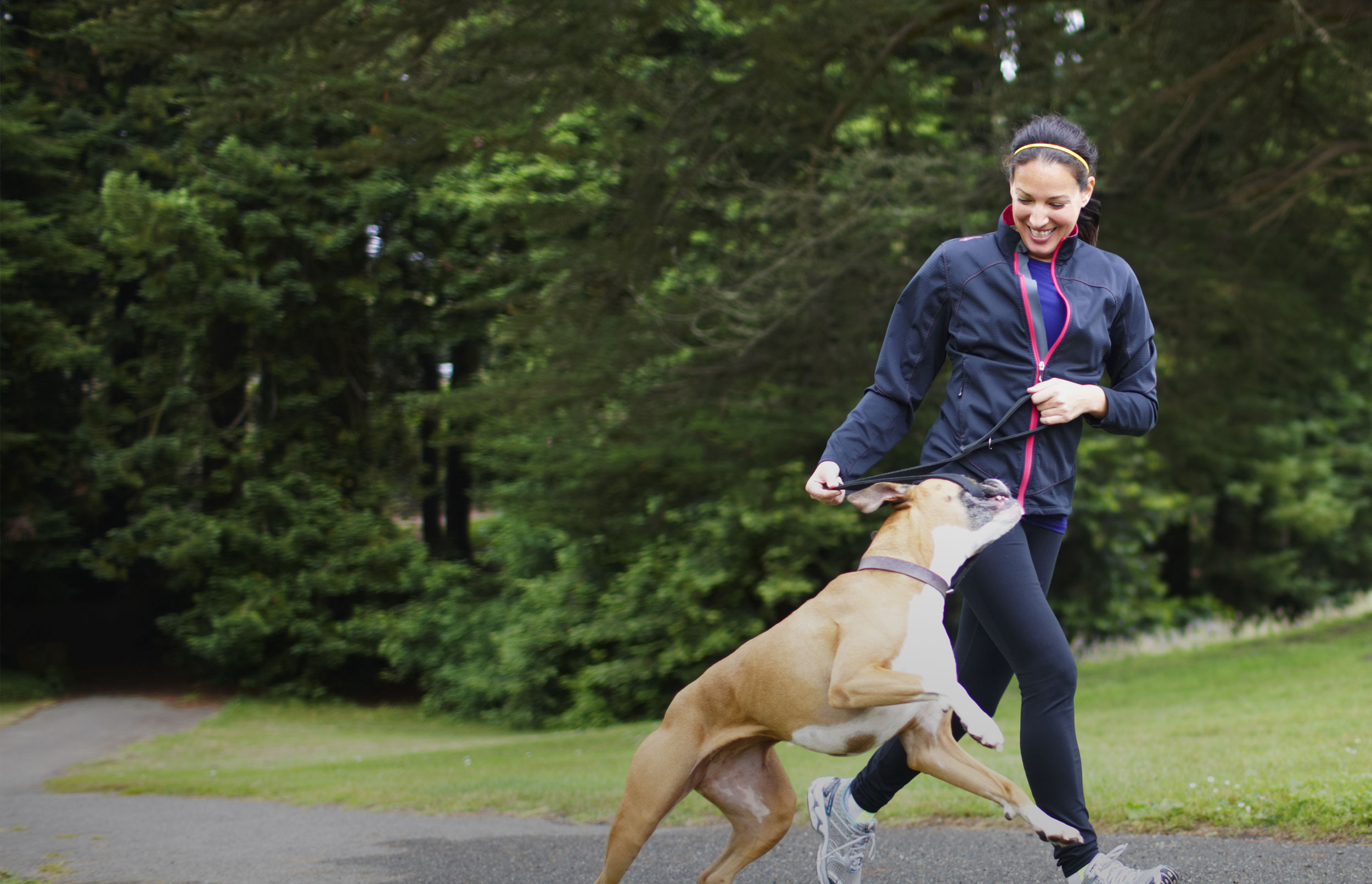 motion，Step recording，wear，intelligence，