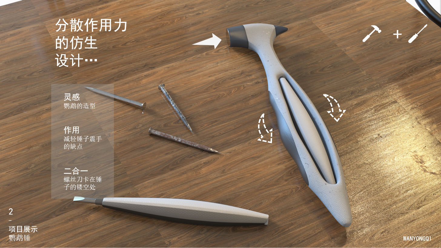 shock absorption，modelling，bionics，