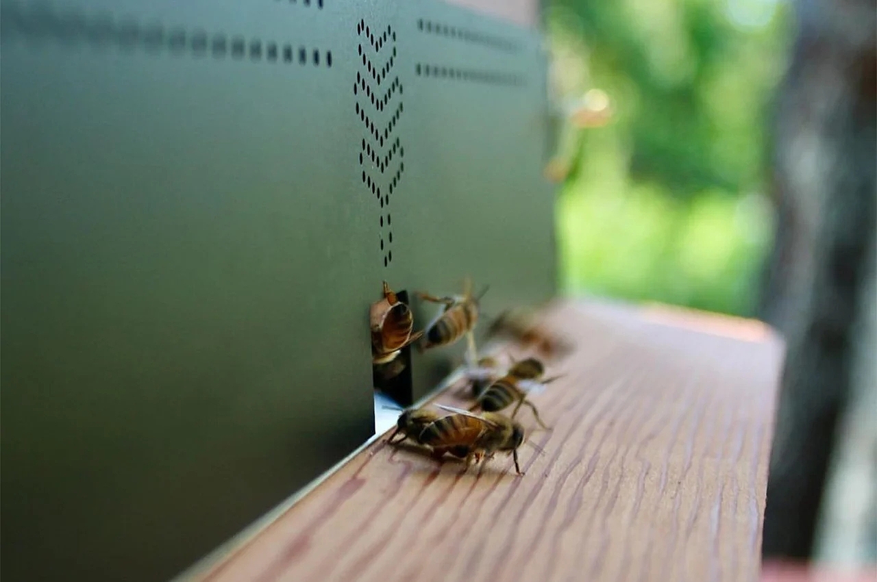 hive，Flow Pollinator Hous，Wooden tube，