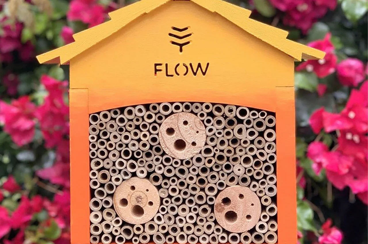 hive，Flow Pollinator Hous，Wooden tube，