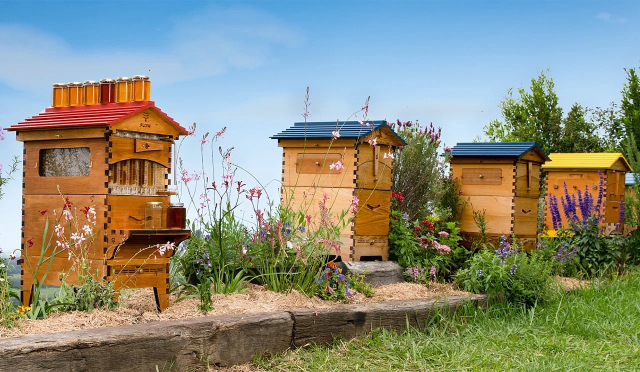 hive，Flow Pollinator Hous，Wooden tube，