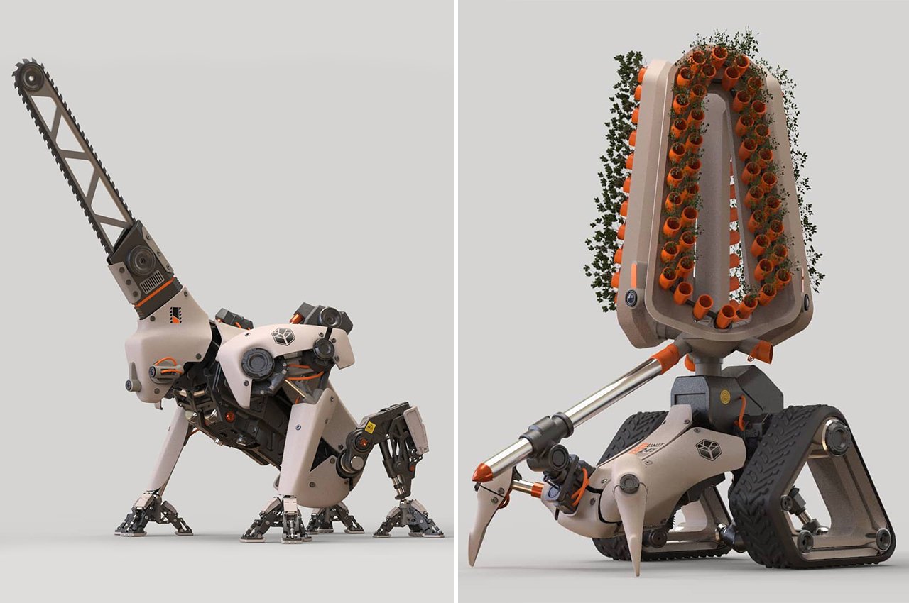 Confusing Caspi，robot，Forest ranger，