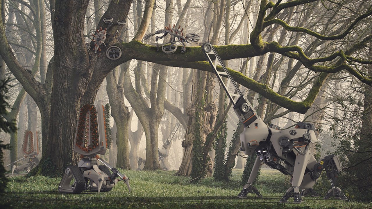 Confusing Caspi，robot，Forest ranger，