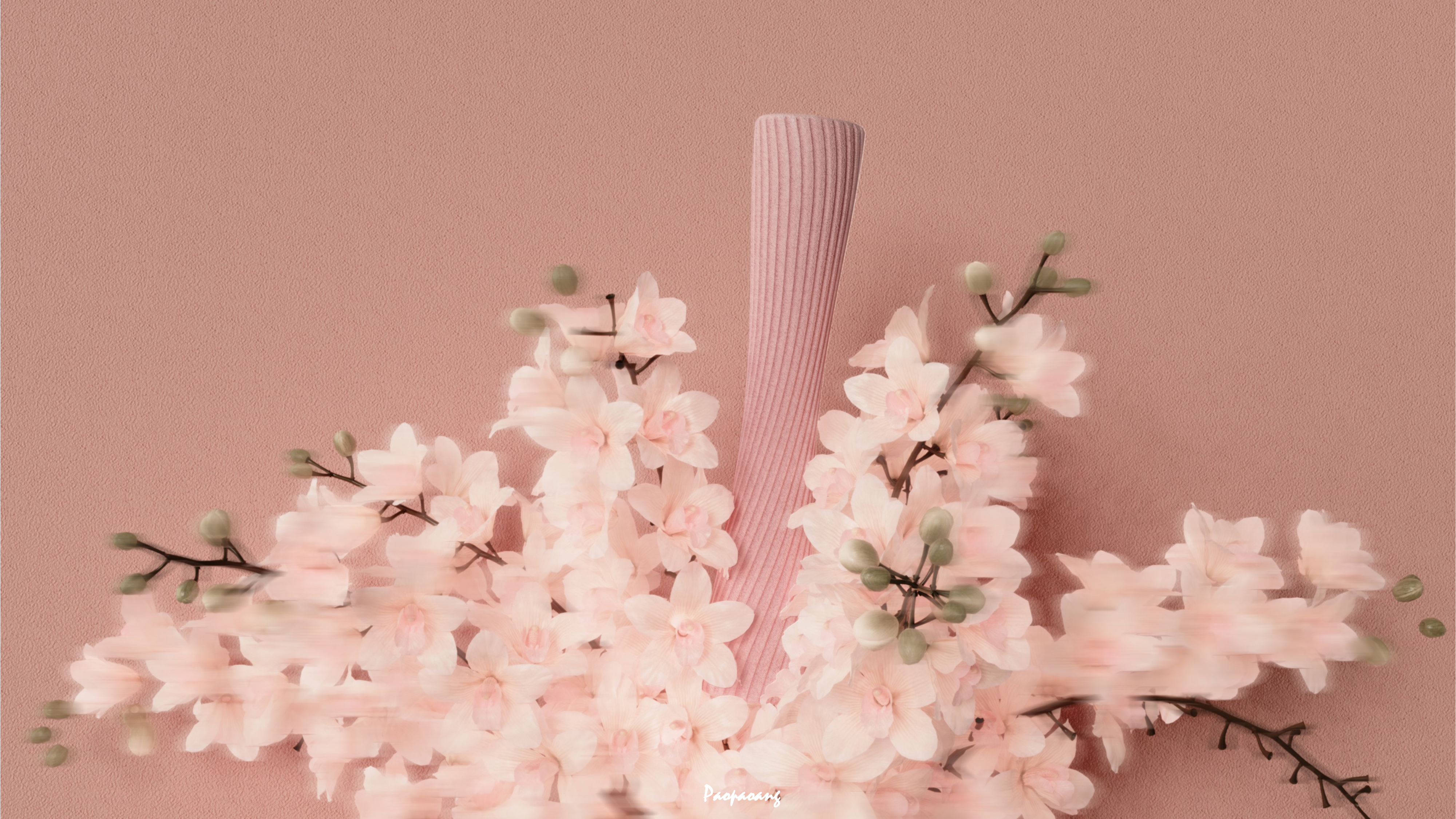 motion，Bodybuilding，female sex，curve，household，