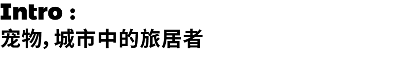 inward，product design，Creative design，Brand strategy，Product strategy，inward，product design，Creative design，Brand strategy，Product strategy，