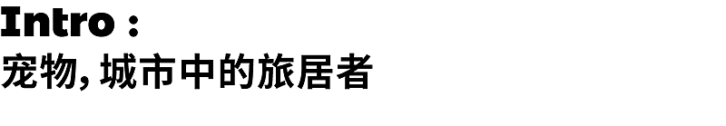 inward，product design，Creative design，Brand strategy，Product strategy，inward，product design，Creative design，Brand strategy，Product strategy，