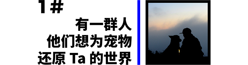 inward，product design，Creative design，Brand strategy，Product strategy，inward，product design，Creative design，Brand strategy，Product strategy，