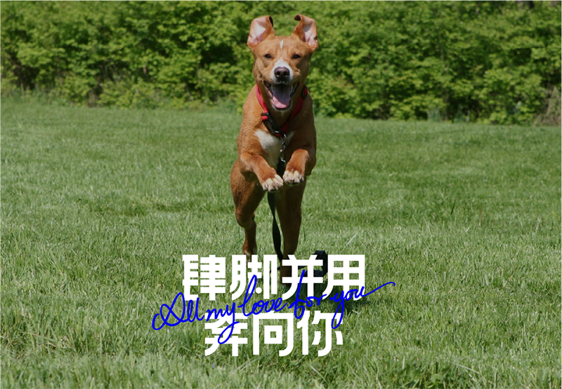 inward，product design，Creative design，Brand strategy，Product strategy，inward，product design，Creative design，Brand strategy，Product strategy，