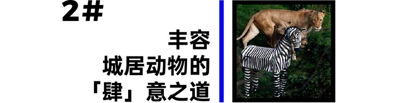 inward，product design，Creative design，Brand strategy，Product strategy，inward，product design，Creative design，Brand strategy，Product strategy，