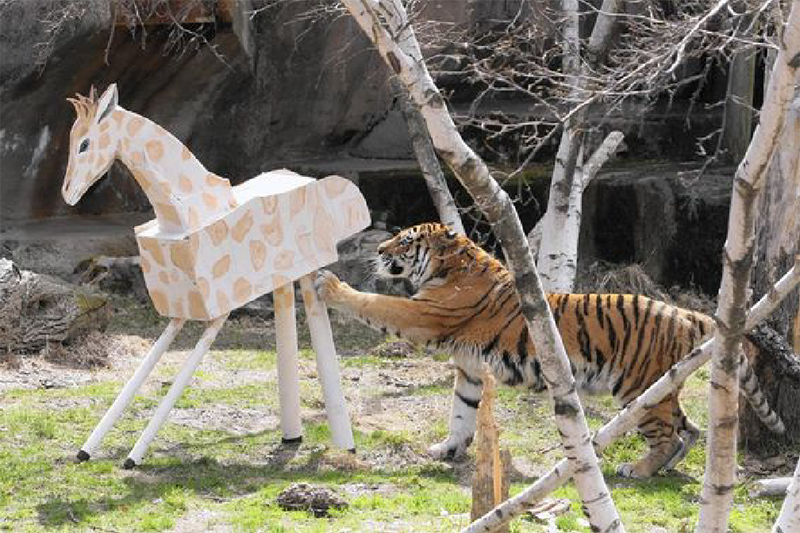 inward，product design，Creative design，Brand strategy，Product strategy，inward，product design，Creative design，Brand strategy，Product strategy，