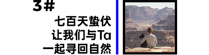 inward，product design，Creative design，Brand strategy，Product strategy，inward，product design，Creative design，Brand strategy，Product strategy，