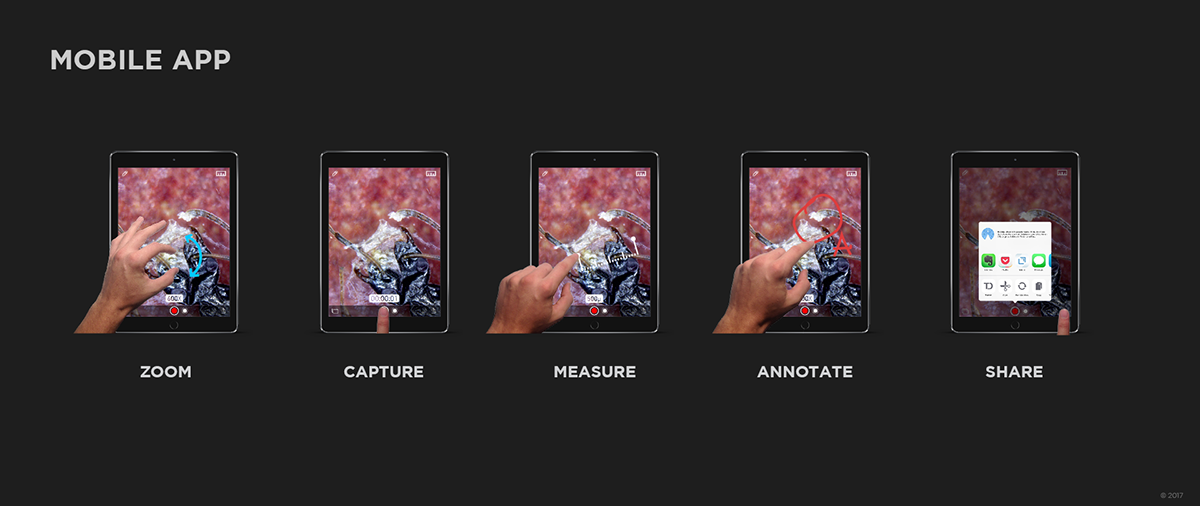 South African Designer，George Gibbens，sample reels，two thousand and eighteen，