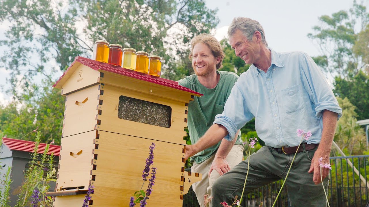 Honey Flow，Flow Hive，sustainable，Innovation，