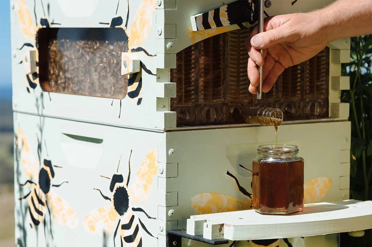 Honey Flow，Flow Hive，sustainable，Innovation，