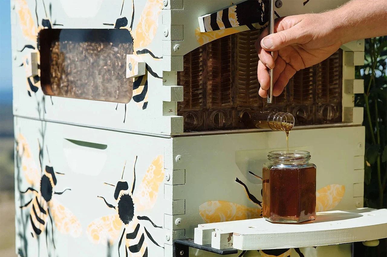 Honey Flow，Flow Hive，可持续，创新性，