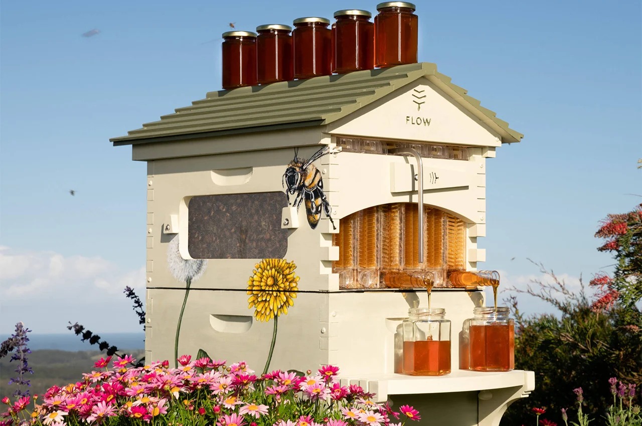 Honey Flow，Flow Hive，sustainable，Innovation，