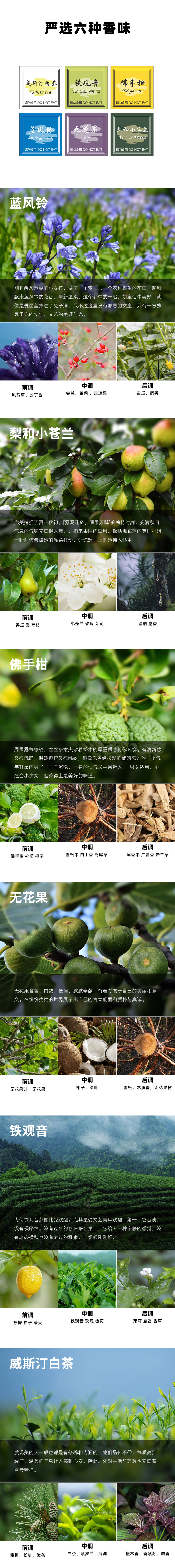 Golden chess piece，Mirror，Elegant copper，Vehicle fragrance，