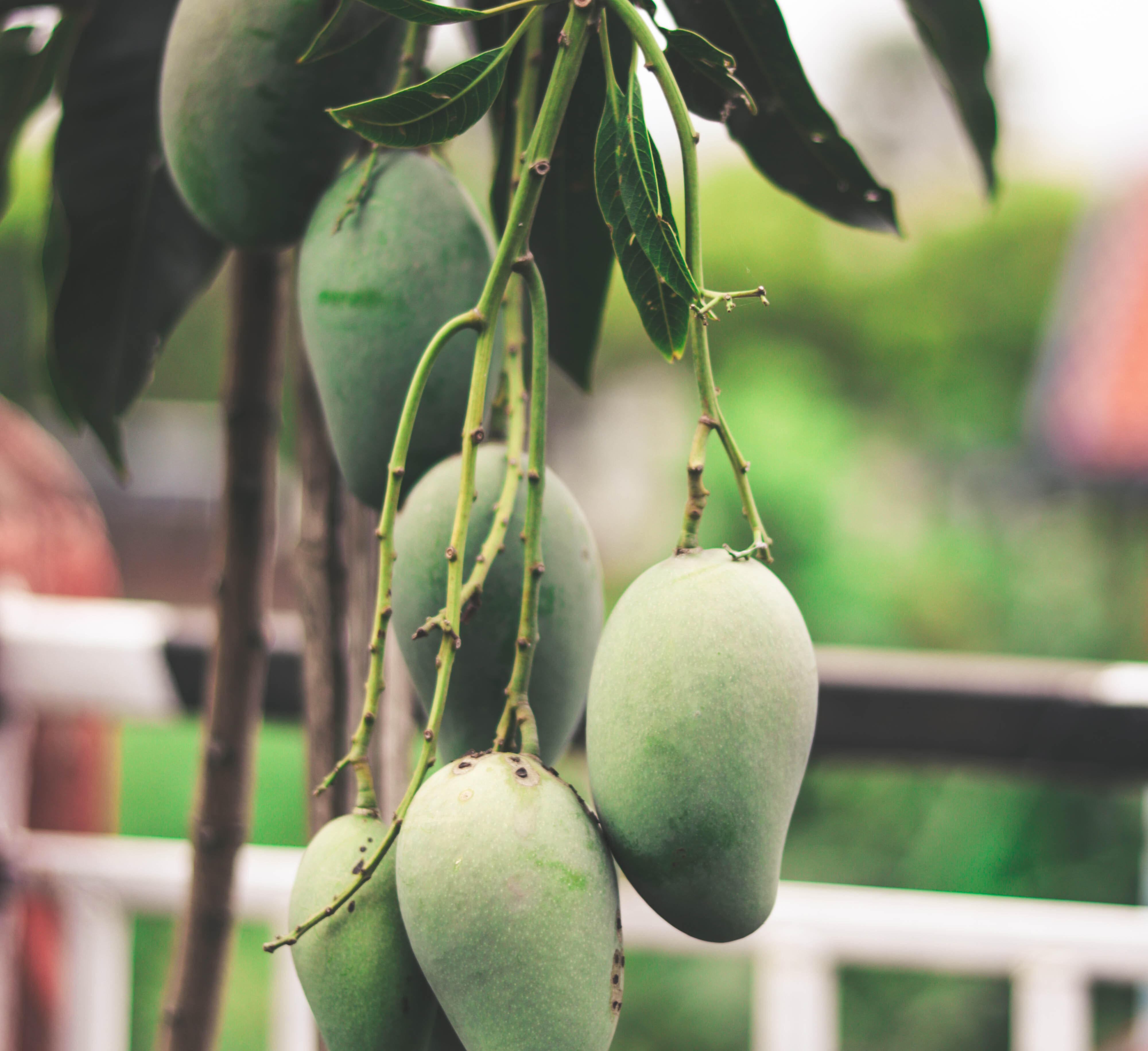 Speaker design，product design，industrial design，Bluetooth Speaker ，