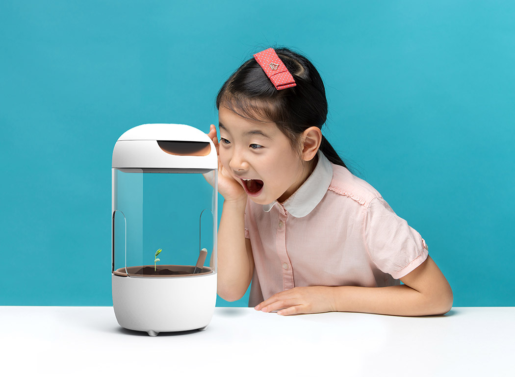 Toys，intelligence，Petri dish，culture，Botany，