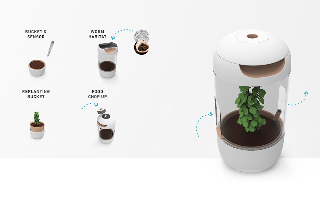 Toys，intelligence，Petri dish，culture，Botany，