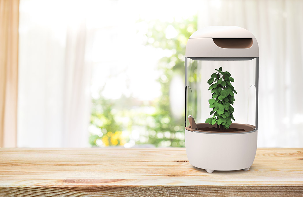 Toys，intelligence，Petri dish，culture，Botany，