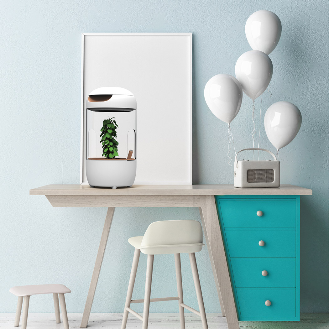 Toys，intelligence，Petri dish，culture，Botany，