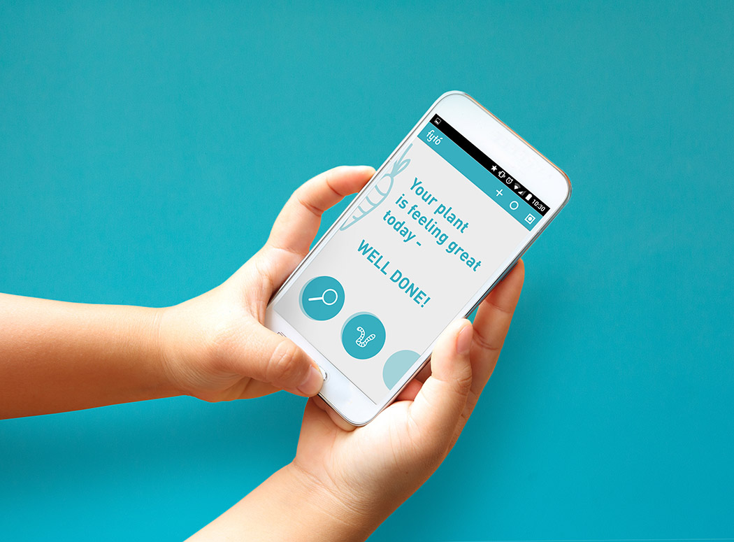 Toys，intelligence，Petri dish，culture，Botany，