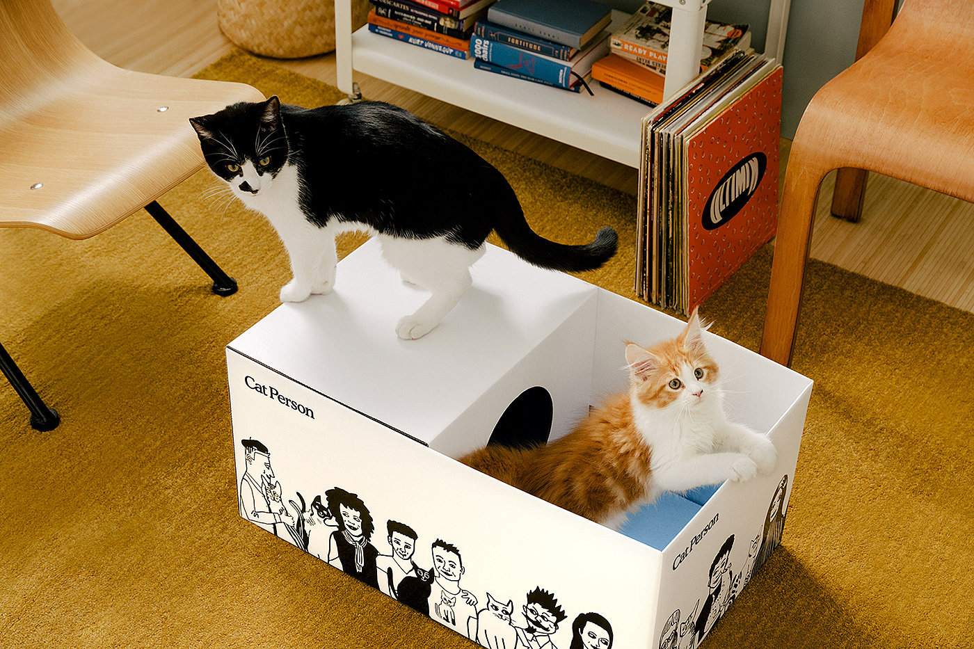 cat，Box，illustration，Consignment，