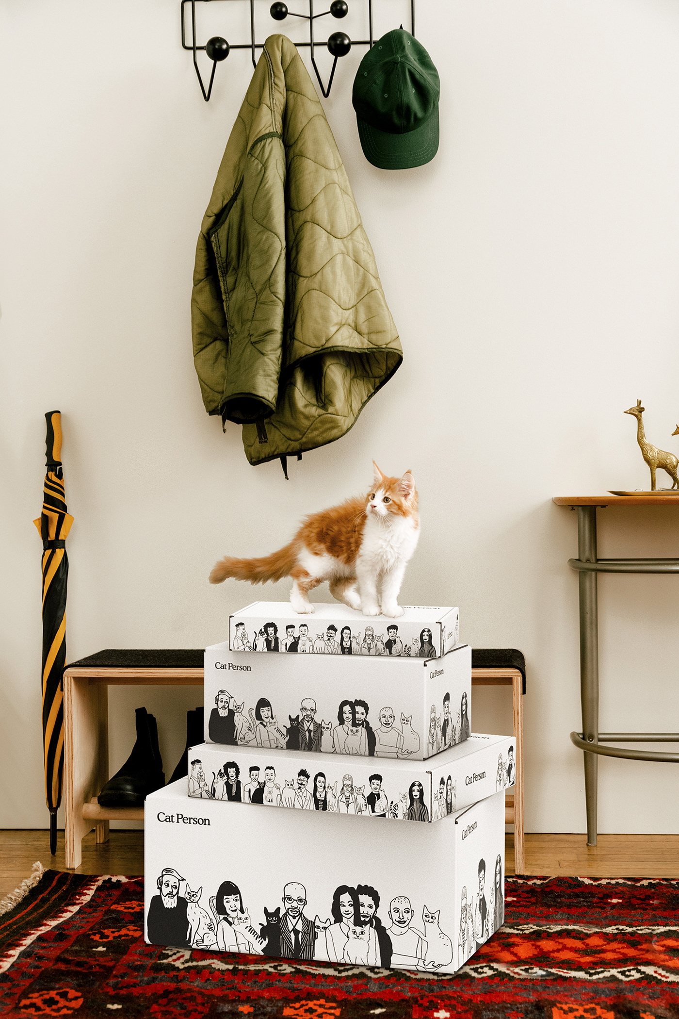 cat，Box，illustration，Consignment，