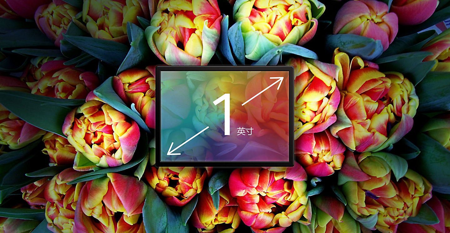 Samsung，intelligence，EV-NXF1ZZC2HCN，Digital camera，samsung，