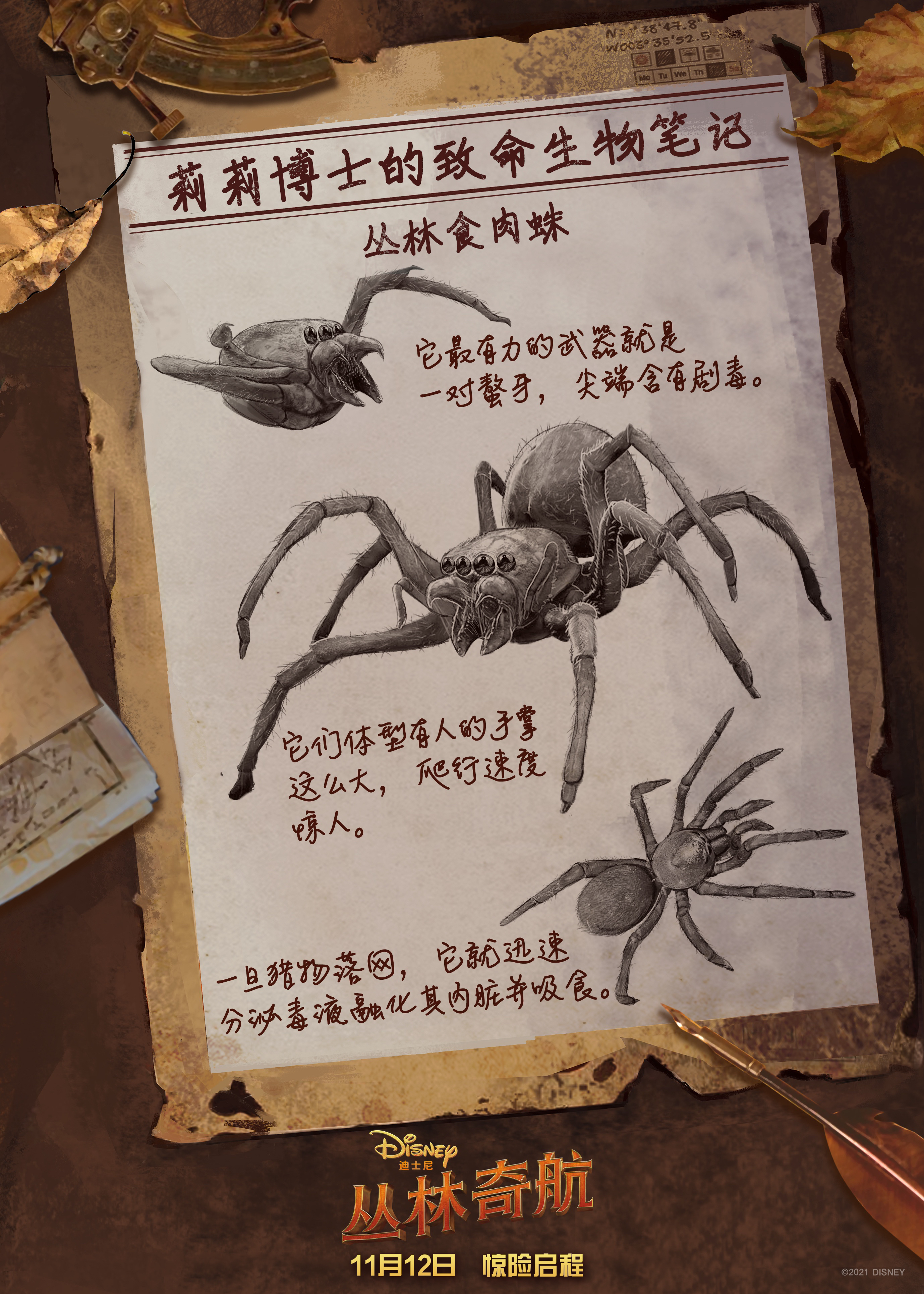 Walt Disney Pictures ，Jungle Adventure，commercial illustration ，Disney，