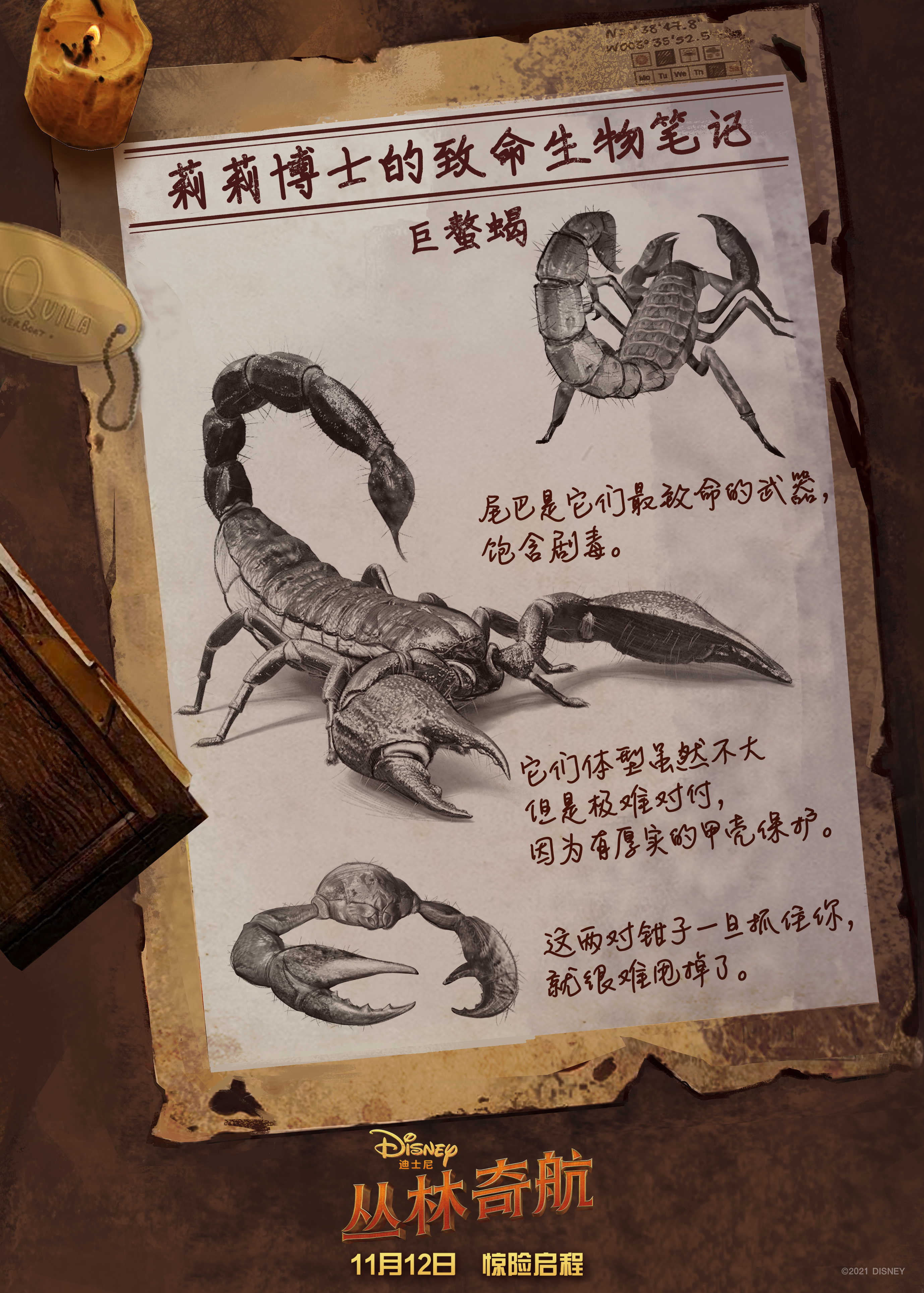 Walt Disney Pictures ，Jungle Adventure，commercial illustration ，Disney，