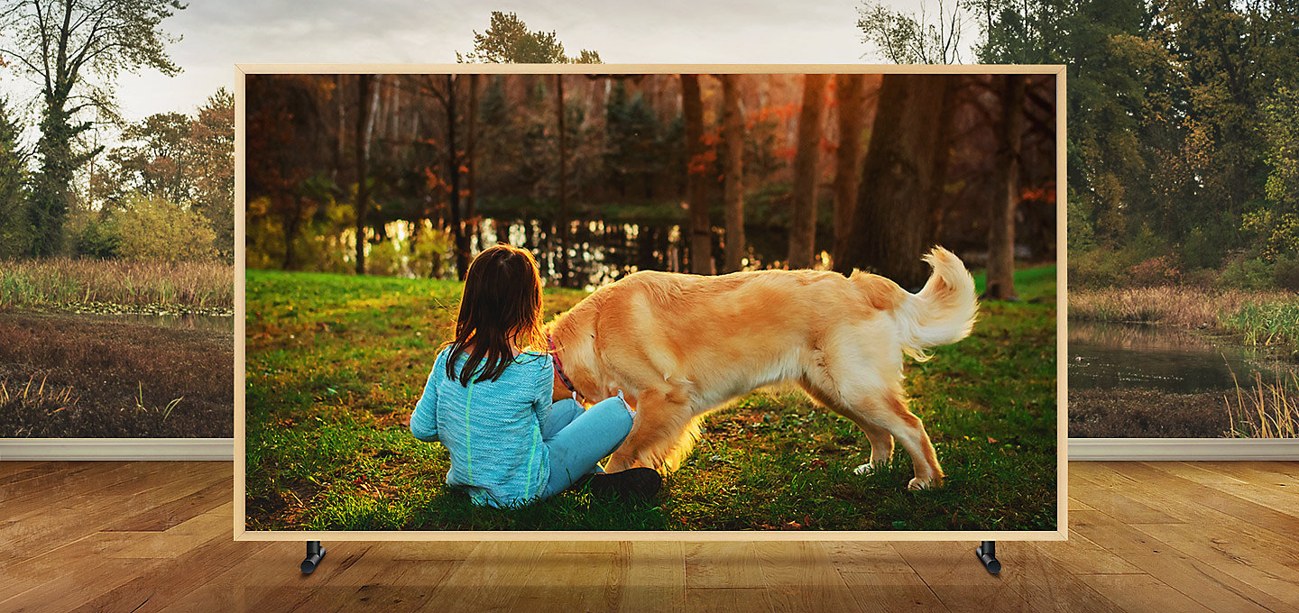 Household Electric Appliances，Ua65ls003ajxxx type，samsung，Art television，Samsung，