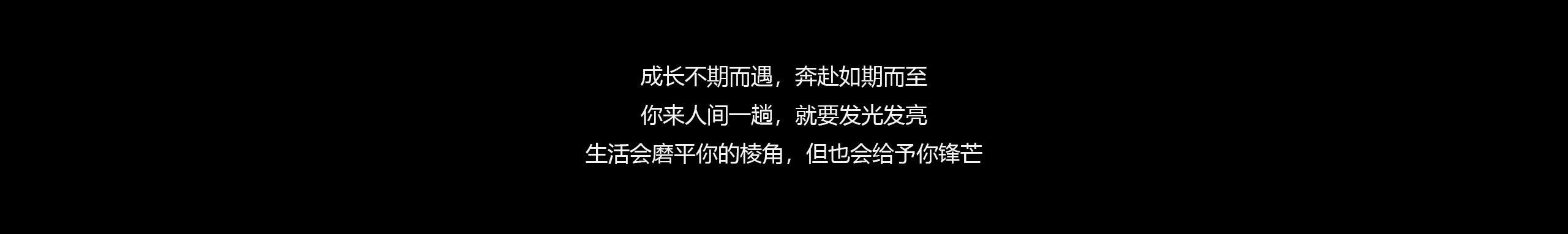 loudspeaker box，Conference speaker，