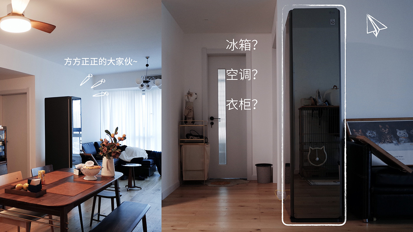 Furniture designer almond vegetable head，LG Styler steam clothing care machine evaluation，