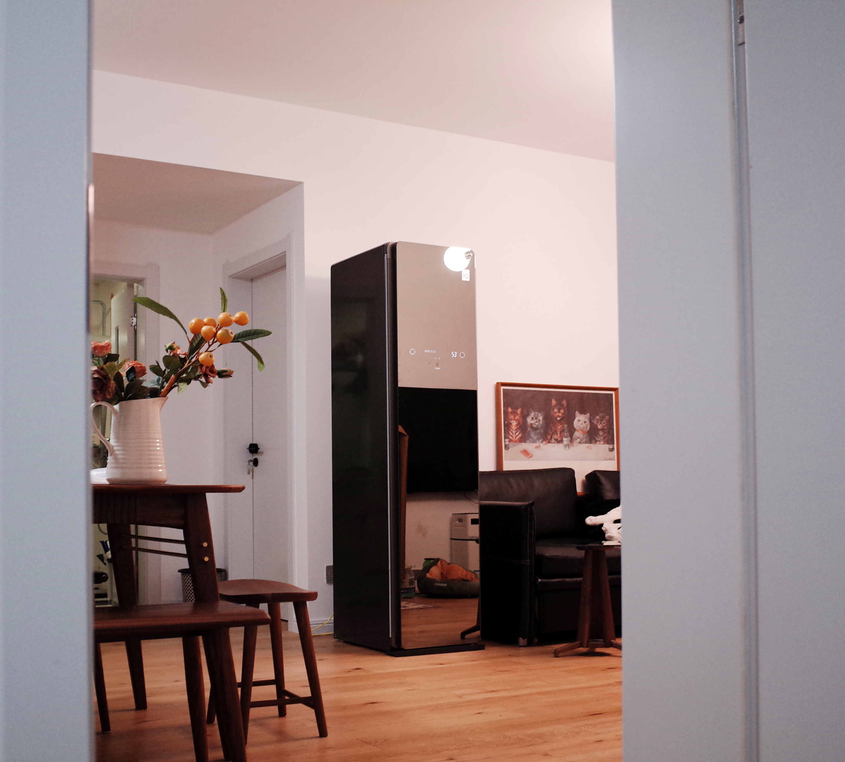 Furniture designer almond vegetable head，LG Styler steam clothing care machine evaluation，