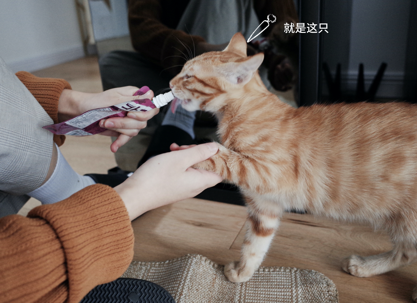 Furniture designer almond vegetable head，LG Styler steam clothing care machine evaluation，