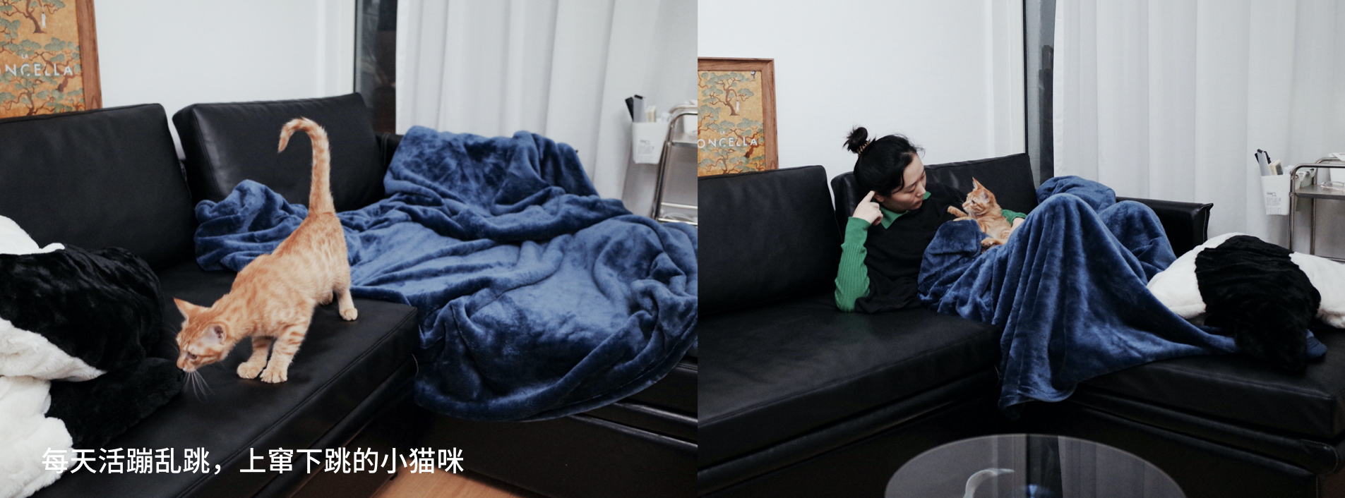 Furniture designer almond vegetable head，LG Styler steam clothing care machine evaluation，