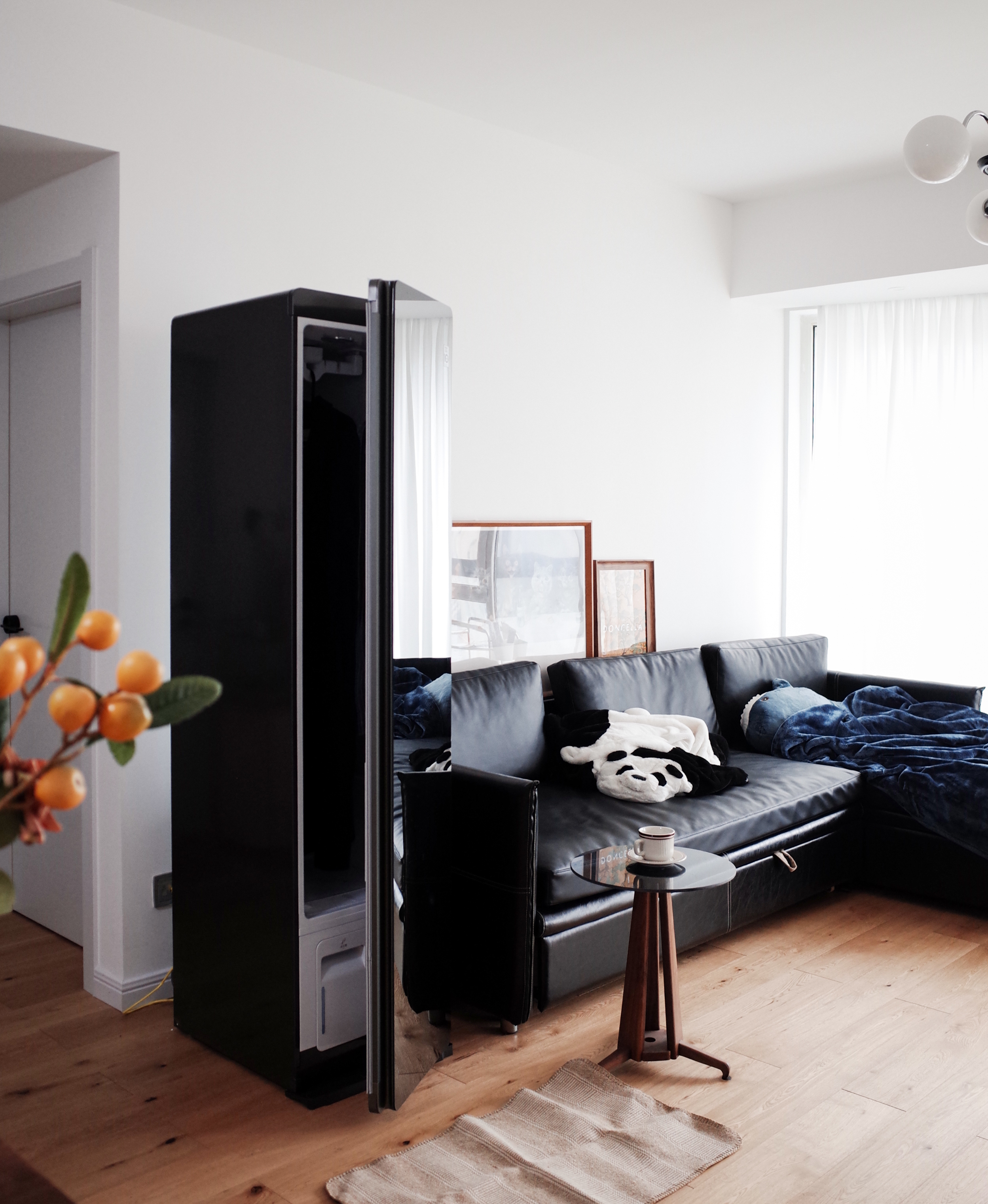 Furniture designer almond vegetable head，LG Styler steam clothing care machine evaluation，