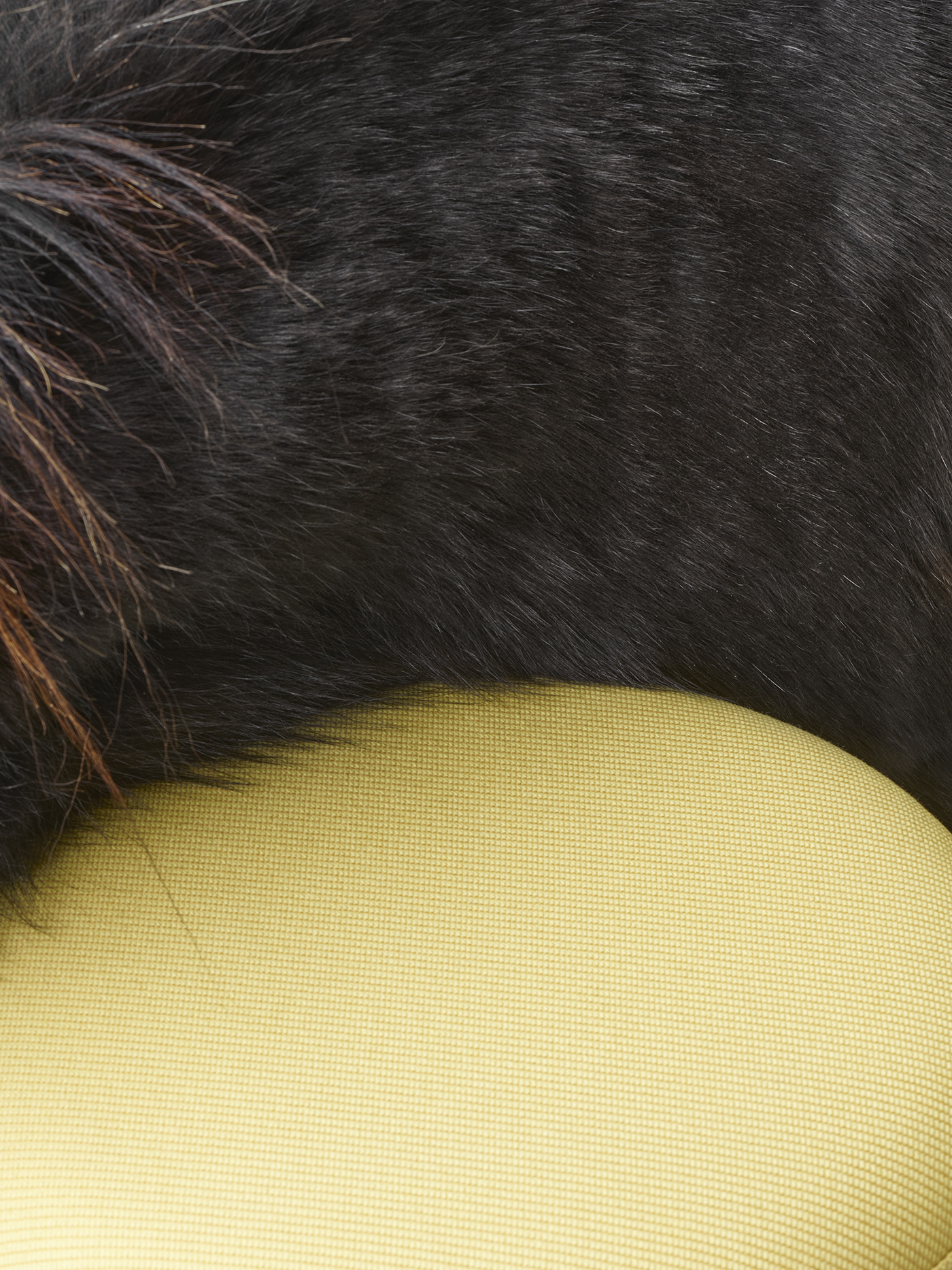 changeable，furniture design ，modern，