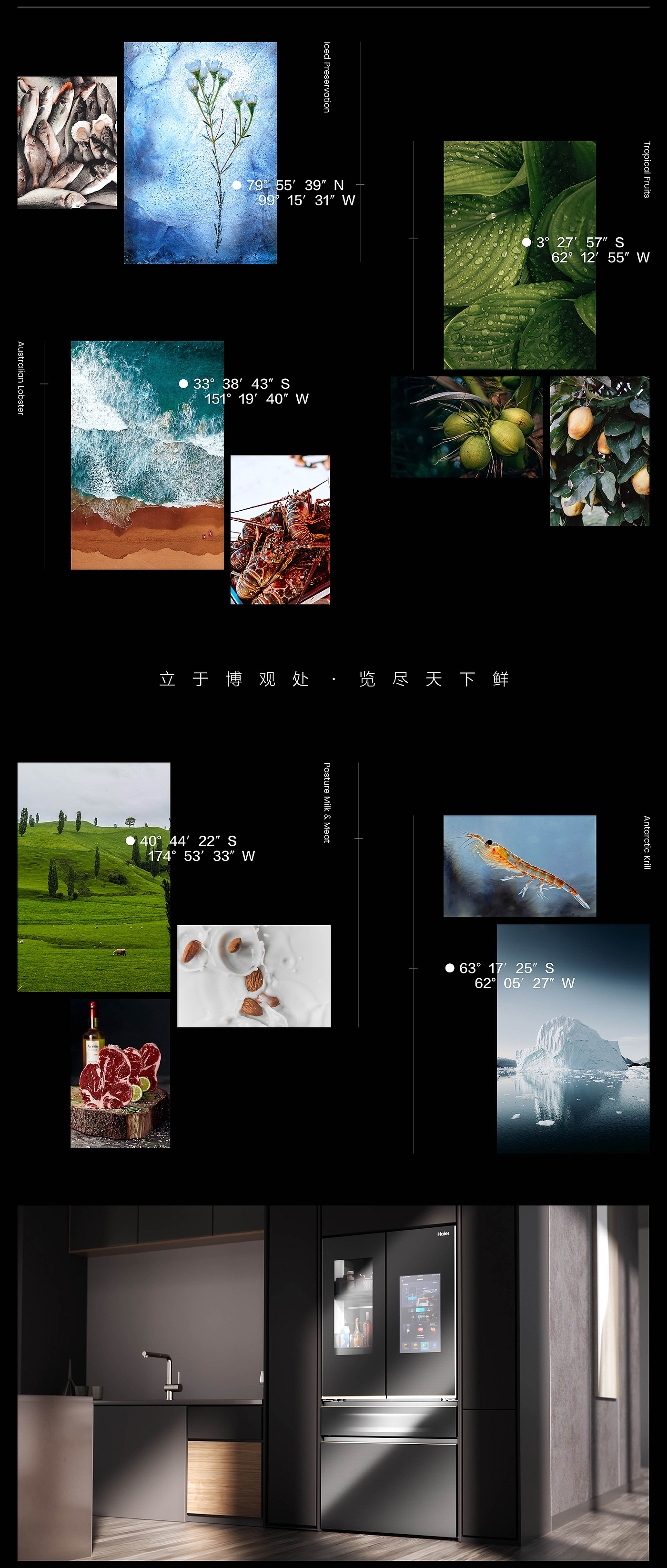 dynamic design ，household electrical appliances，Refrigerator，Product animation，Advertising video，Render，Product rendering，