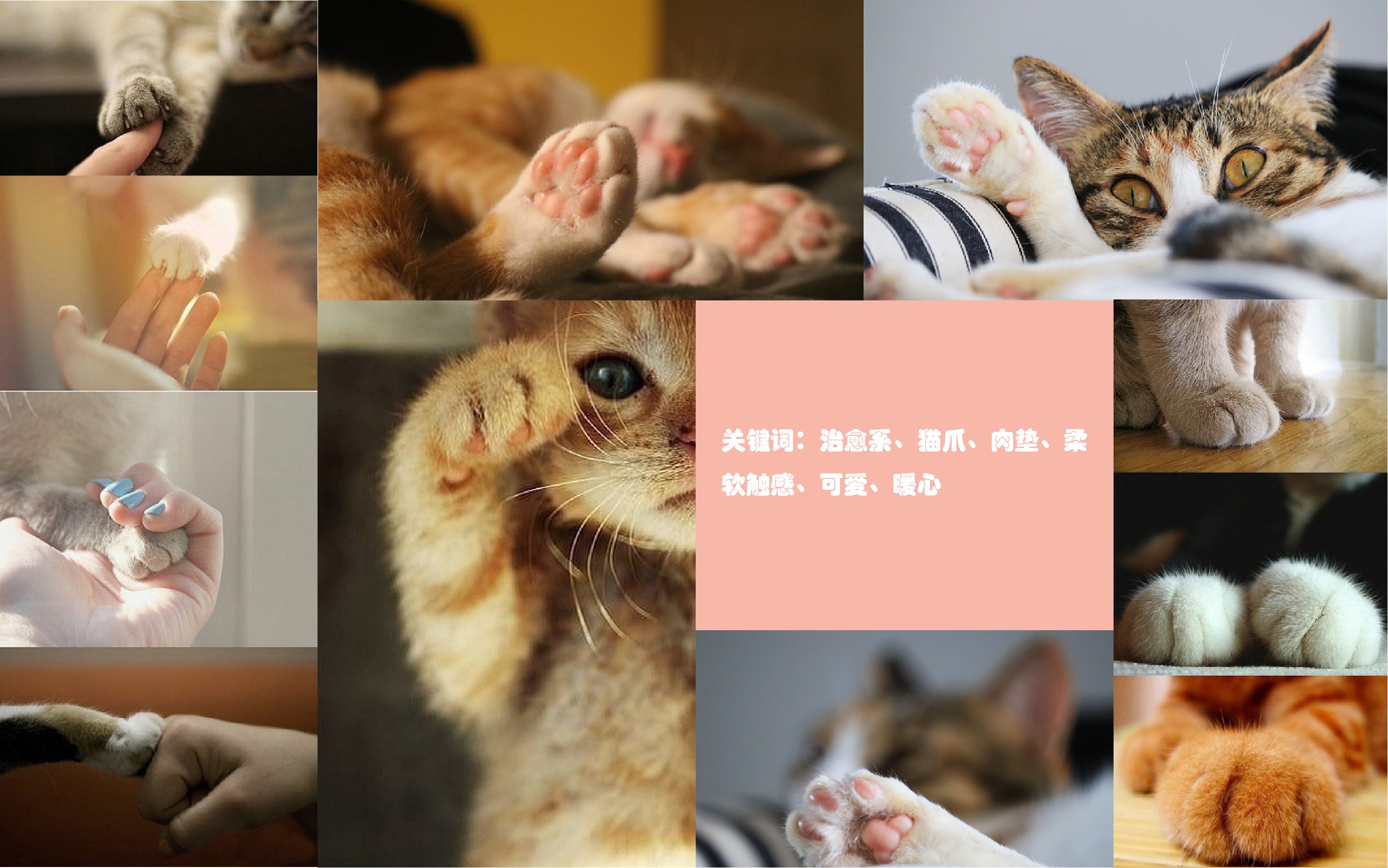 Cute pet, girl's heart, cute, comfortable to handle, nano hydrating instrument，