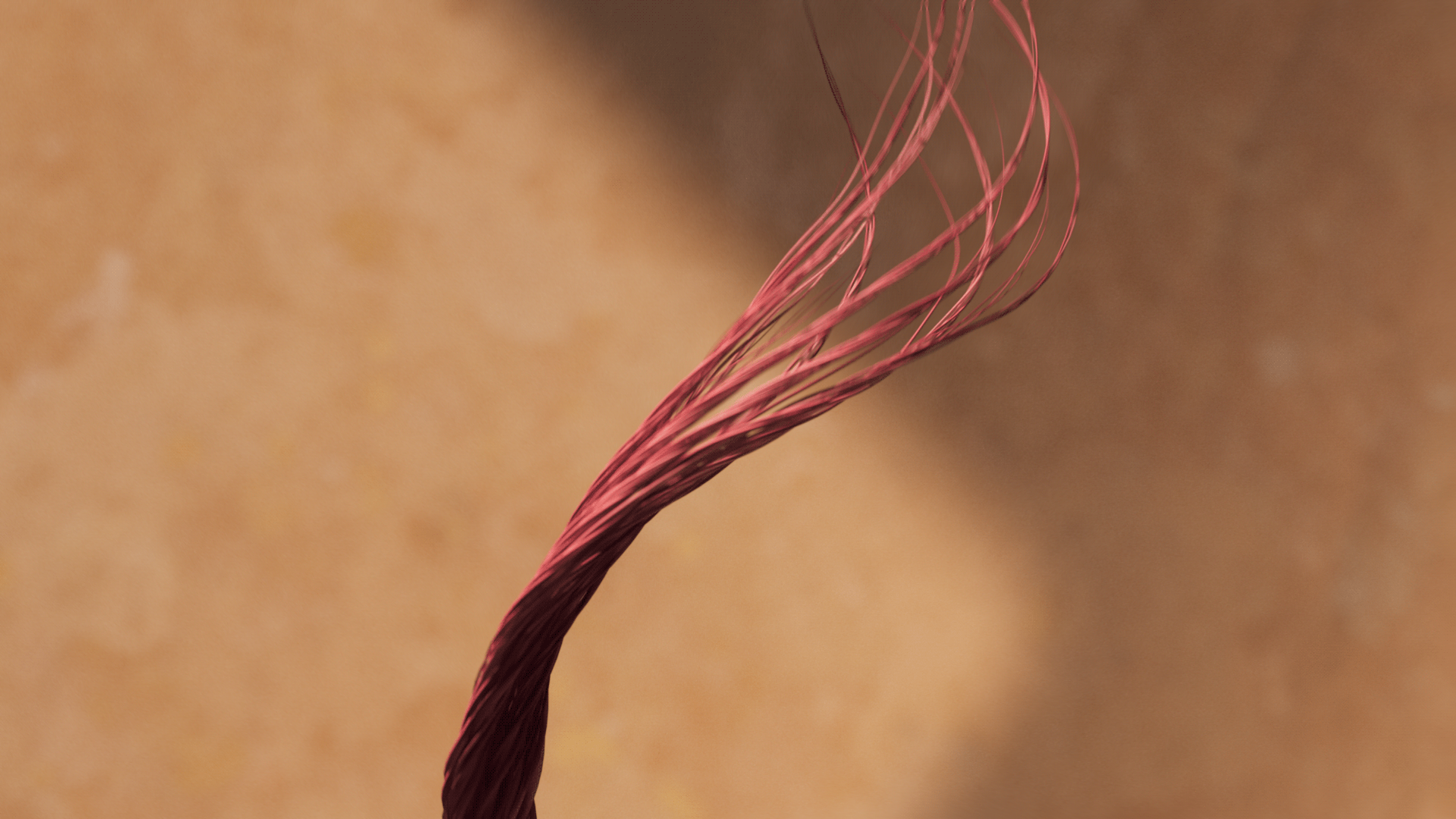 shoes，Sports brand，Tod's，sneakers，