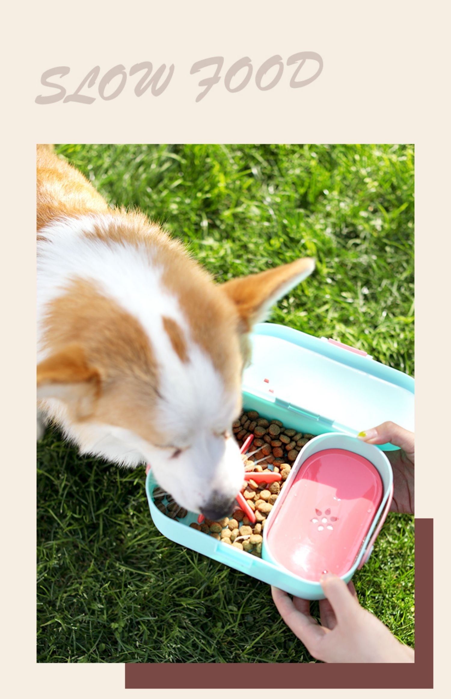Pet food box，Pet Supplies & Pet，